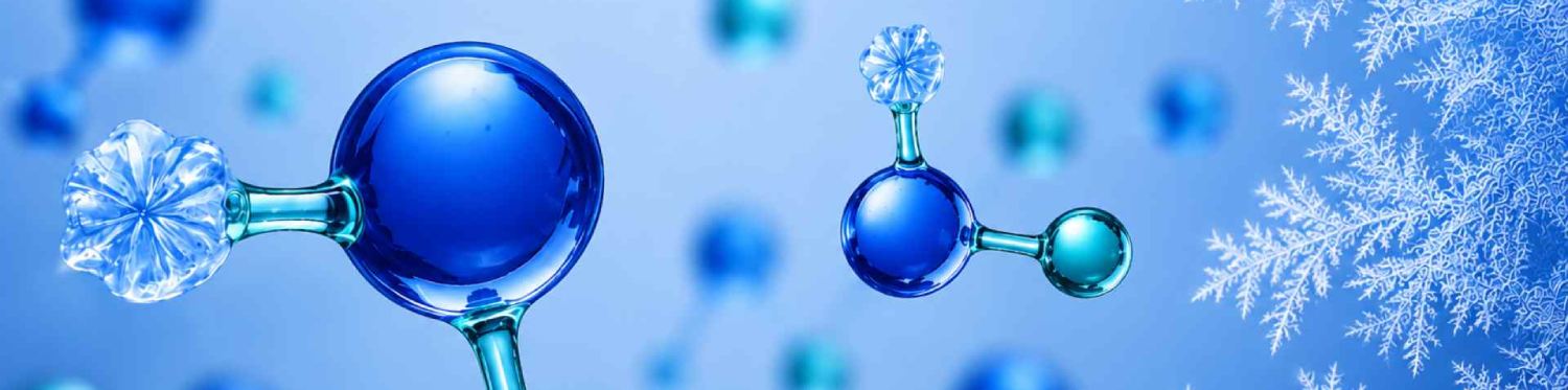 Lyophilization Services